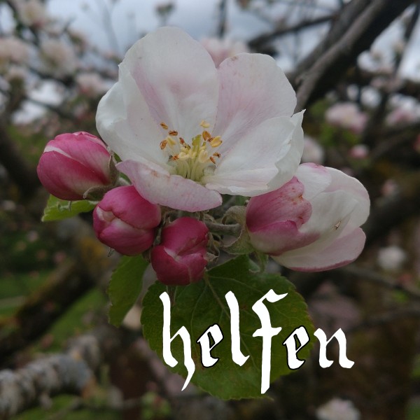 helfen hof